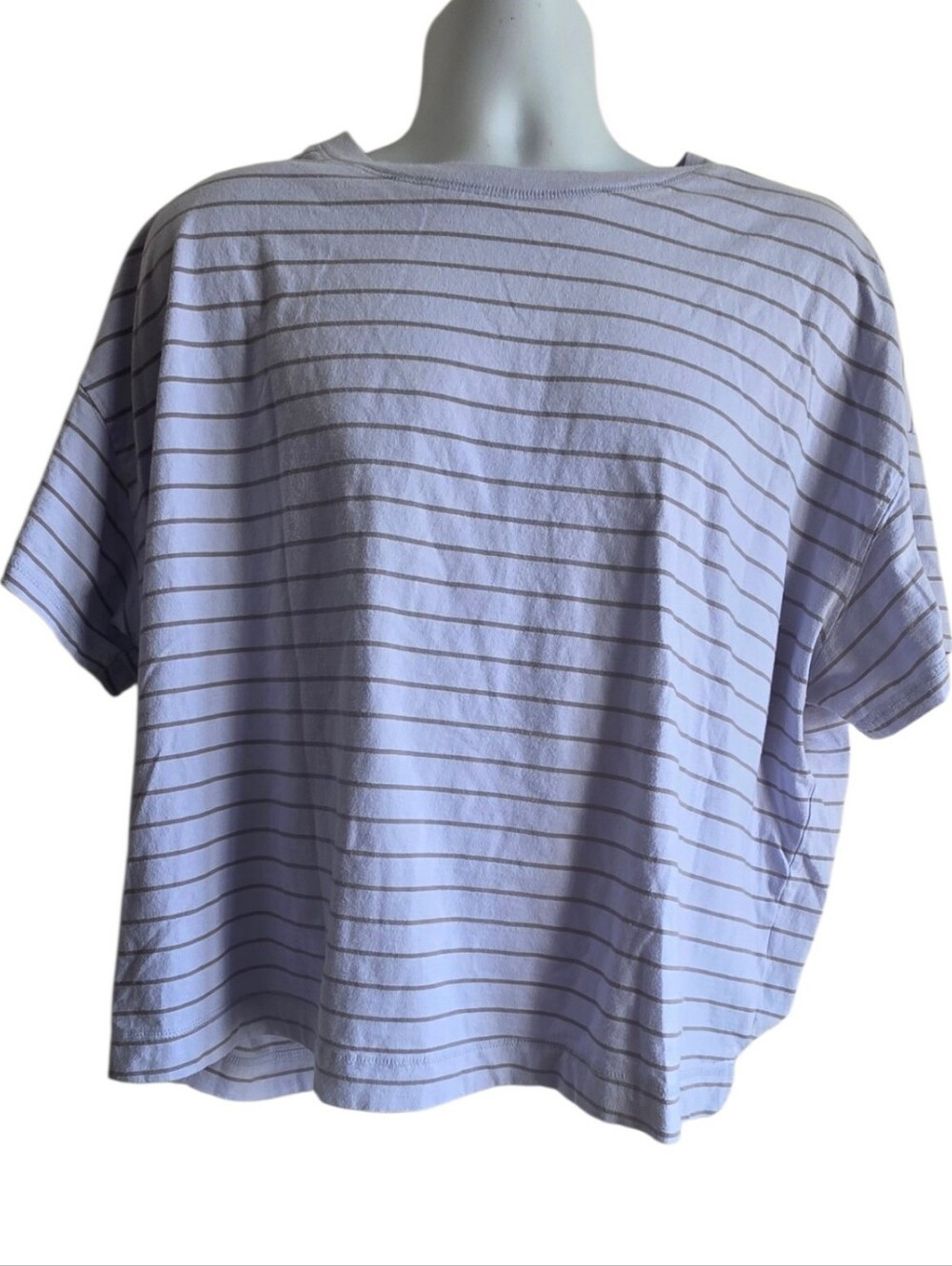 Old Navy Periwinkle  Striped Crewneck Cropped Short Sleve